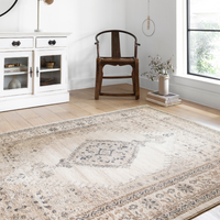 Teagan TEA-02 Rug [Oatmeal/Ivory]