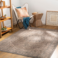 Colin CLN-2309 Machine Washable Rug