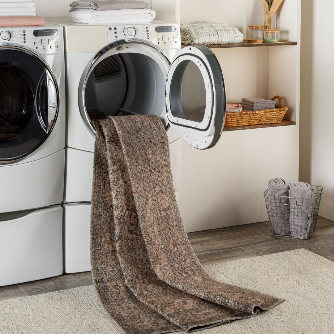 Colin CLN-2309 Machine Washable Rug