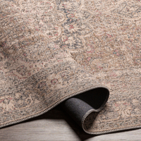 Colin CLN-2309 Machine Washable Rug