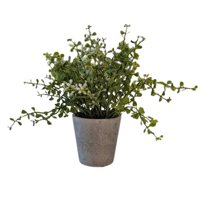 Potted Baby Grass /w White Berries [Faux - 7"]