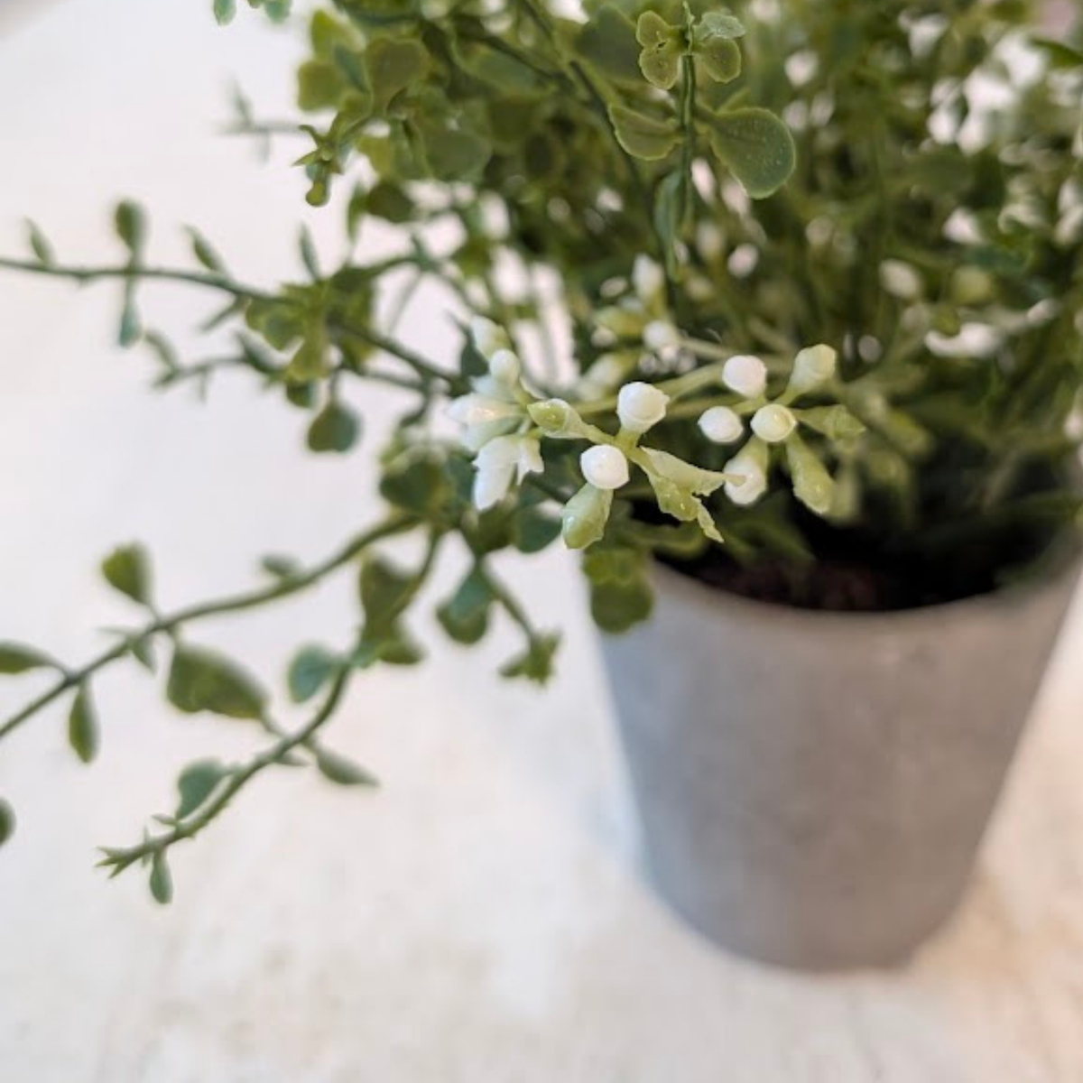 Potted Baby Grass /w White Berries [Faux - 7"]