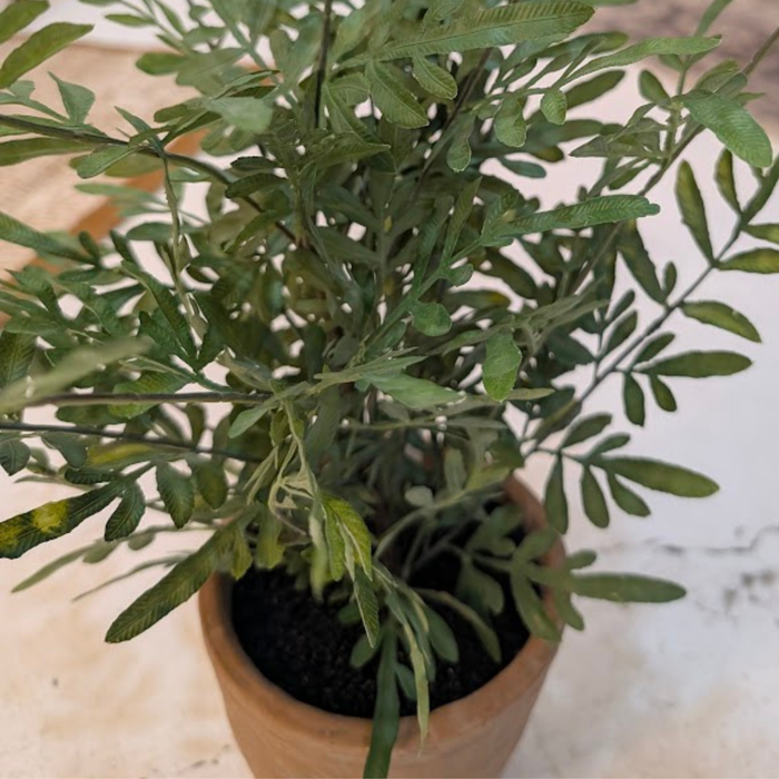 20" Potted Heavenly Bamboo