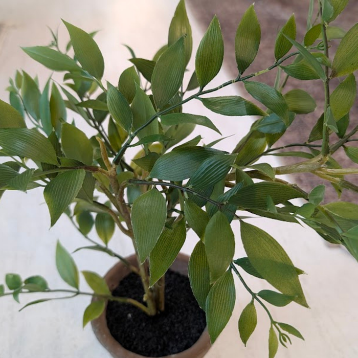 Potted Artificial 16" Smilax Plant