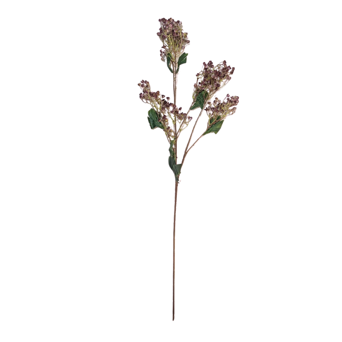 34" Wine Winter Daphne Spray