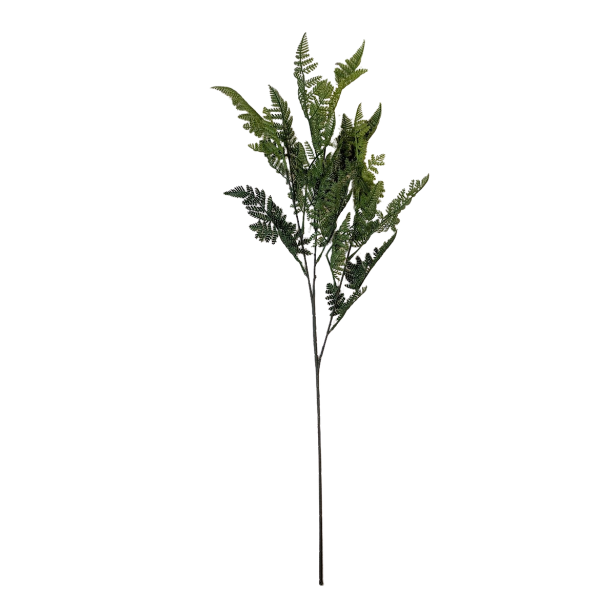 38" Lacey Fern Spray