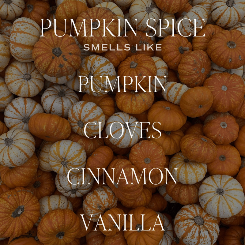 Pumpkin Spice - 9 oz