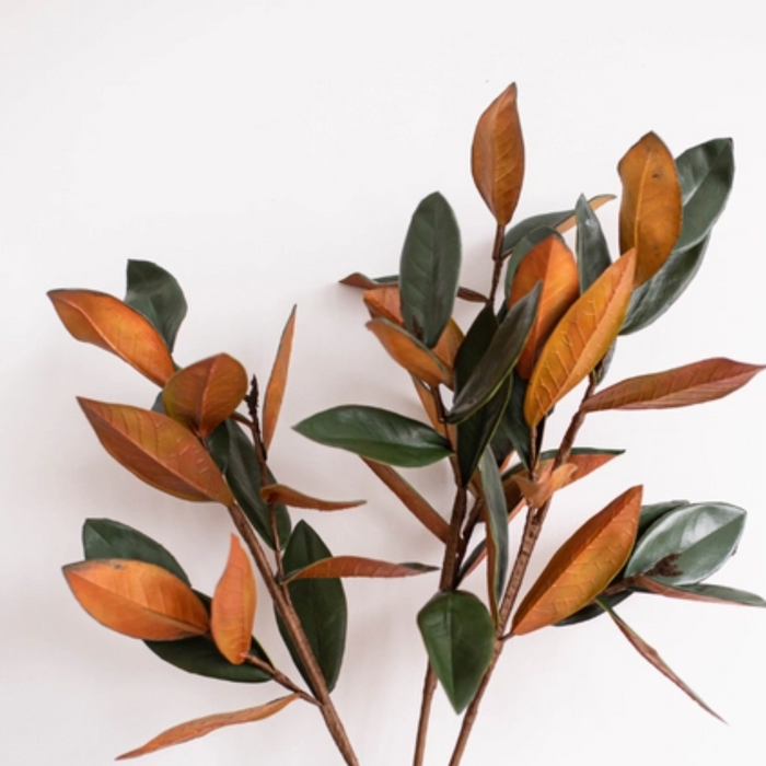 Faux Magnolia Leaves