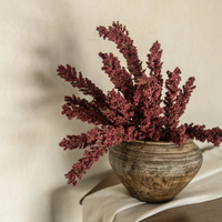 Mulberry Heather Bush - 21"