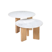 Brenna Coffee Table [Set of 2]