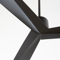 Adler Ceiling Fan