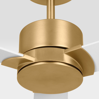 Rozzen Ceiling Fan