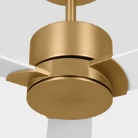 Rozzen Ceiling Fan