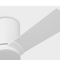 Rozzen 32" Hugger Ceiling Fan