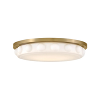 Zoey 20" LED Flush Mount