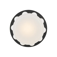 Zoey 14" LED Flush Mount