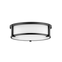 Lowell 16" Flush Mount [Etched Glass]