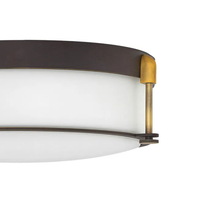 Colbin Medium 16.5" Flush Mount