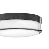 Colbin Medium 16.5" Flush Mount