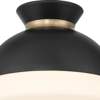 Gidget 1-Light Flush Mount