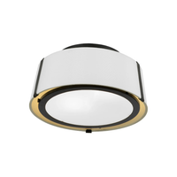 Fulton 2-Light Semi Flush