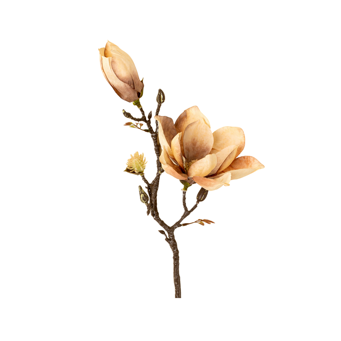 Magnolia Branch [Cream]