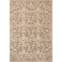 Clarisse CLS-01 Rug [Grey/Multi]