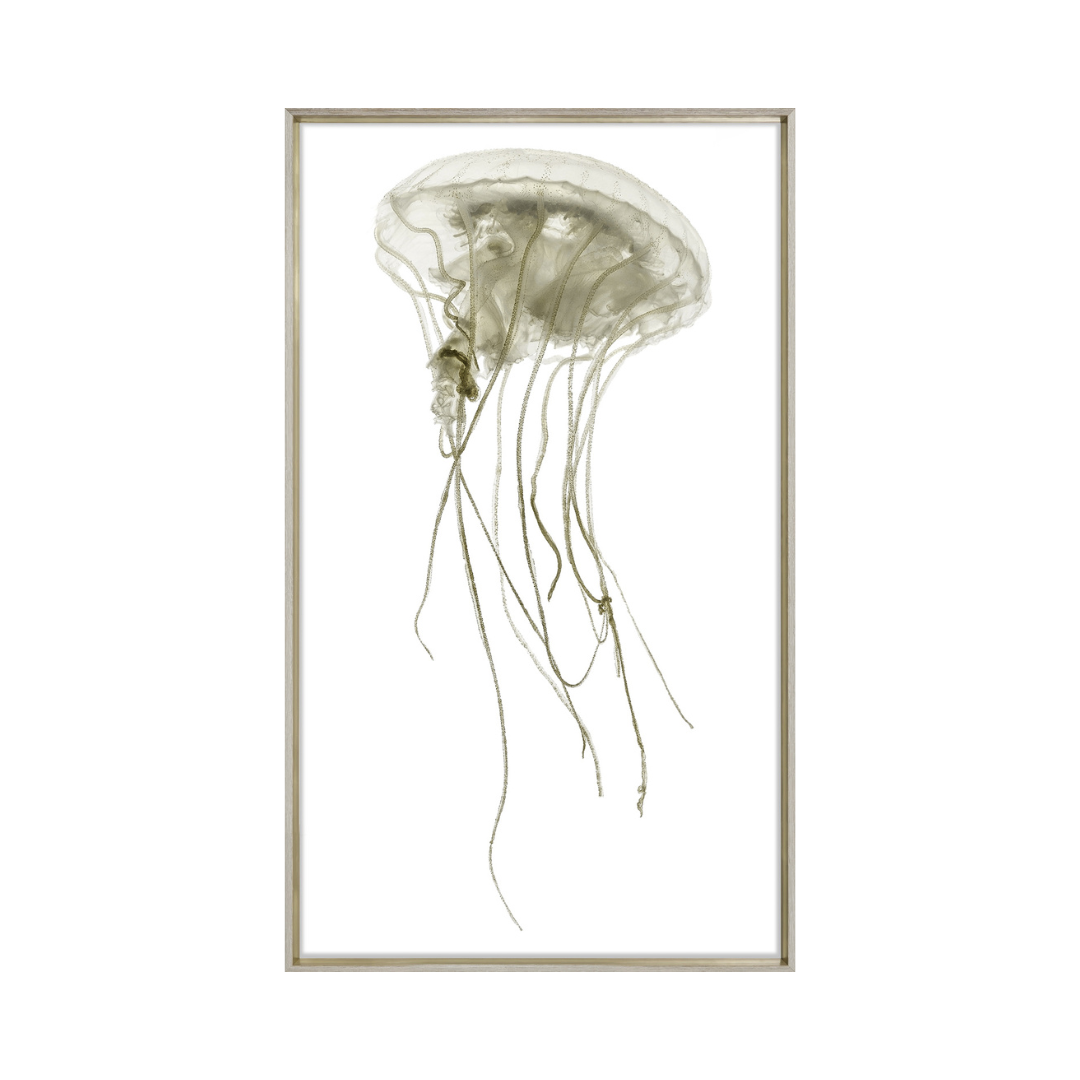 Pacifica Jelly I [27" x 45"]