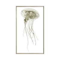 Pacifica Jelly I [27" x 45"]