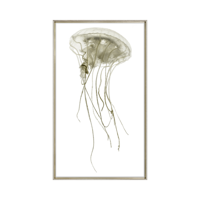 Pacifica Jelly I [27" x 45"]