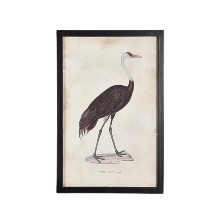 Waterfowl I Large Framed Print