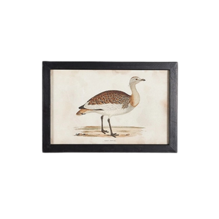 Waterfowl IV Small Framed Print