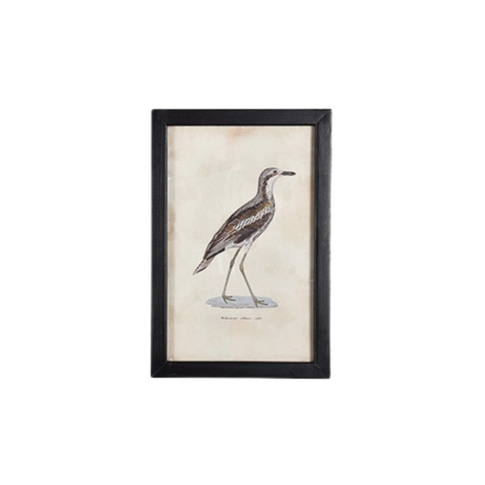 Waterfowl V Small Framed Print