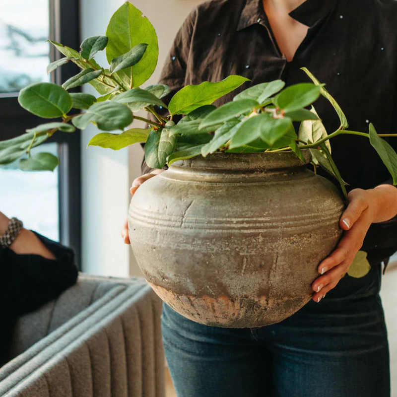 Relic Large Stoneware Vase