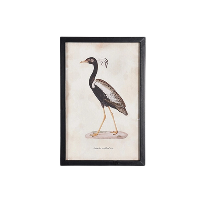 Waterfowl II Medium Framed Print