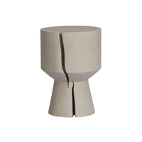 Janis Outdoor Teak End Table