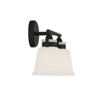 Kaden 2-Light Bathroom Vanity Light