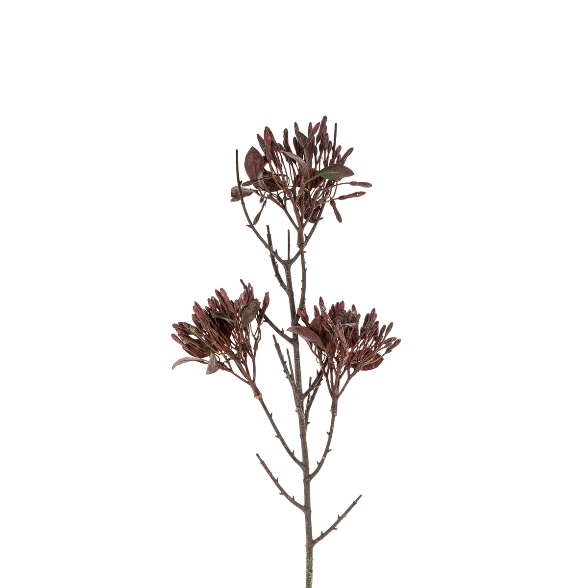 Wild Flower Spray [Dark Purple] - Artificial Stem
