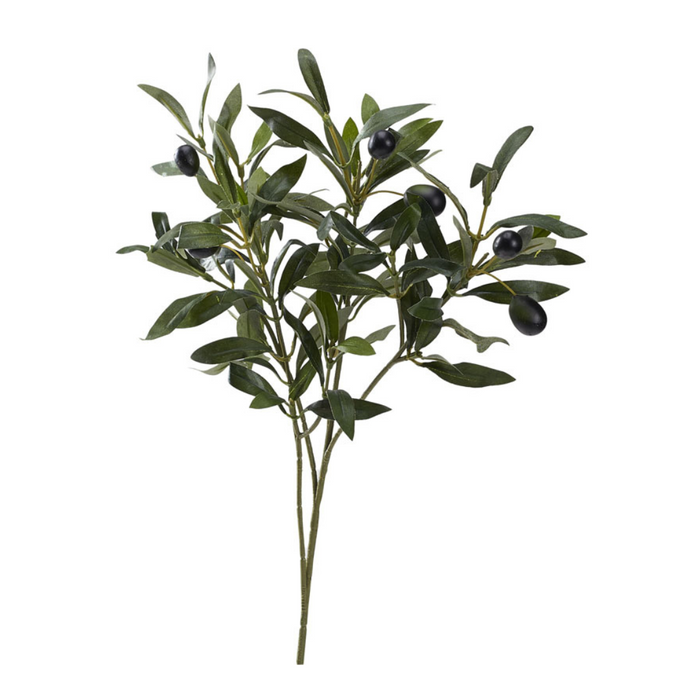 Olive Branch with Fruit