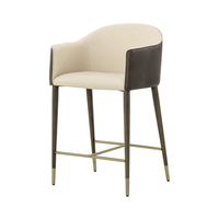 Kelson Counter Stool