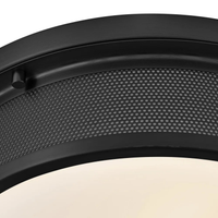 Pierce 14" Flush Mount