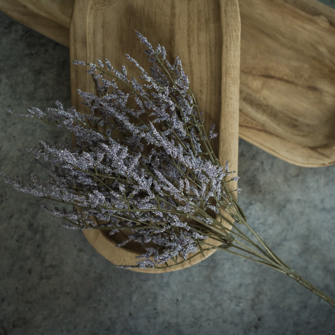 Dance Plant Bush [14.5" - Purple]