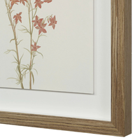 Corolla II [13" x 15" Framed Art Print]