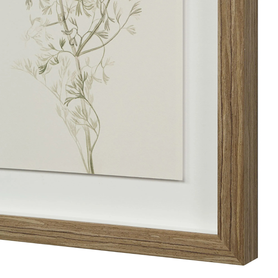 Corolla III [13" x 15" Framed Art Print]