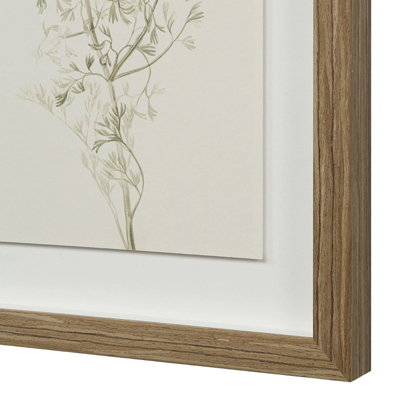 Corolla III [13" x 15" Framed Art Print]