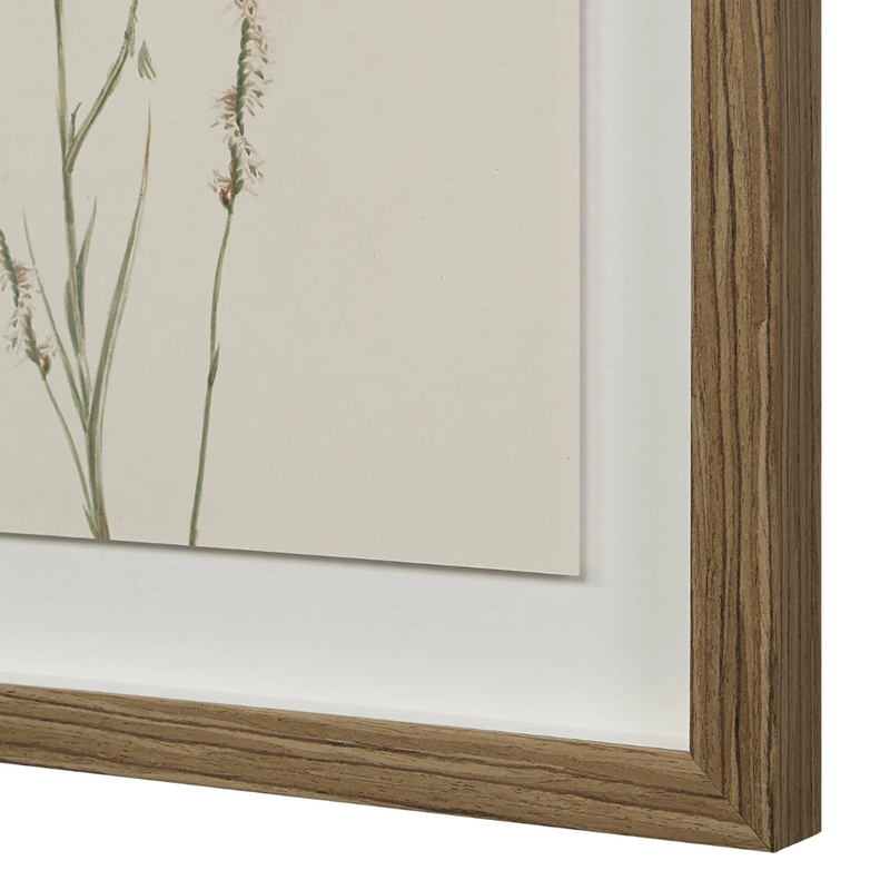 Corolla IV [13" x 15" Framed Art Print]