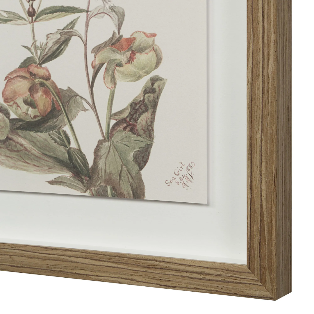 Corolla V [13" x 15" Framed Art Print]