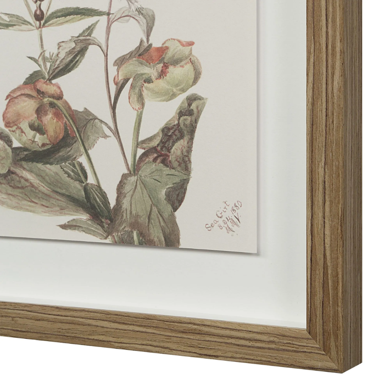 Corolla V [13" x 15" Framed Art Print]