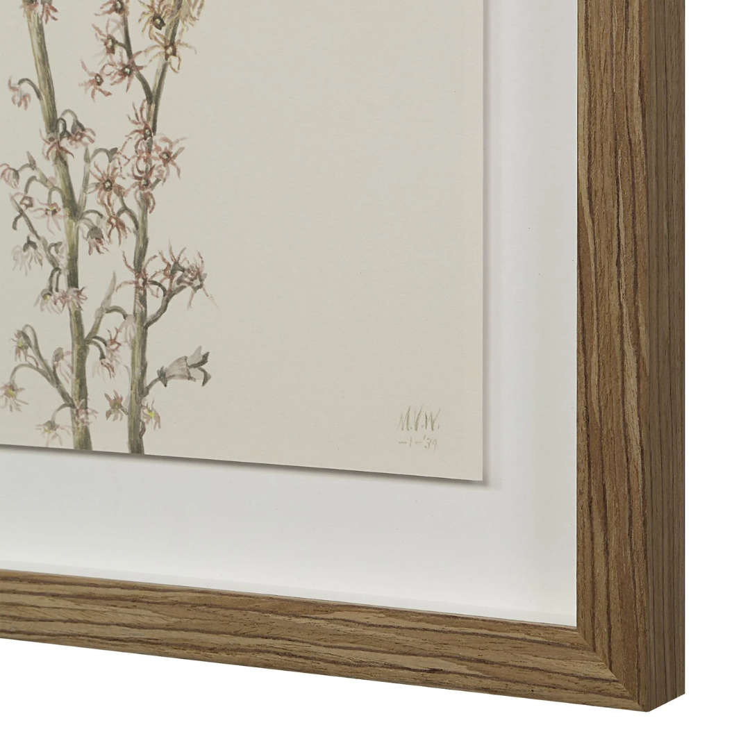 Corolla VIII [13" x 15" Framed Art Print]