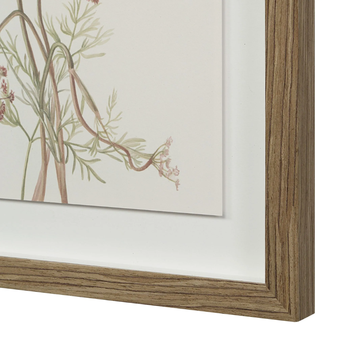 Corolla IX [13" x 15" Framed Art Print]